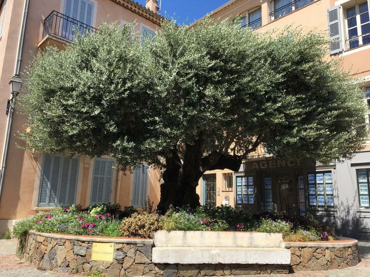 Bastide Du Levant Sainte-Maxime Exterior foto